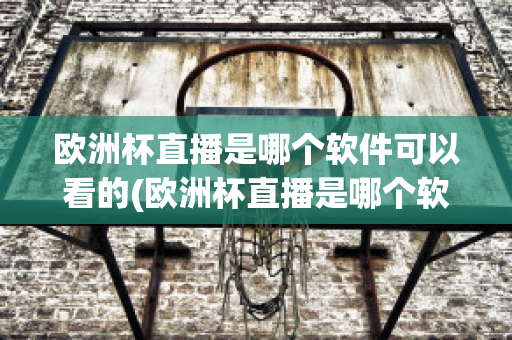 欧洲杯直播是哪个软件可以看的(欧洲杯直播是哪个软件可以看的视频)