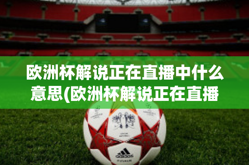 欧洲杯解说正在直播中什么意思(欧洲杯解说正在直播中什么意思呀)