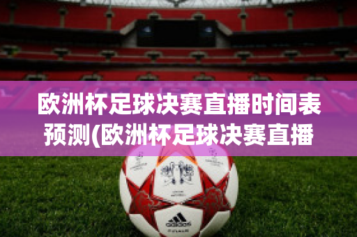 欧洲杯足球决赛直播时间表预测(欧洲杯足球决赛直播时间表预测结果)