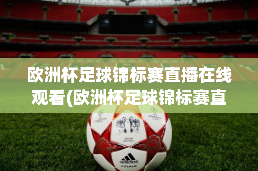 欧洲杯足球锦标赛直播在线观看(欧洲杯足球锦标赛直播在线观看高清)