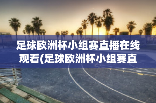 足球欧洲杯小组赛直播在线观看(足球欧洲杯小组赛直播在线观看高清)