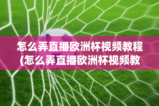 怎么弄直播欧洲杯视频教程(怎么弄直播欧洲杯视频教程手机)