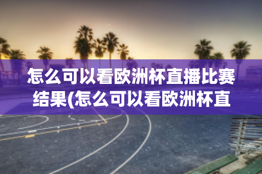 怎么可以看欧洲杯直播比赛结果(怎么可以看欧洲杯直播比赛结果视频)