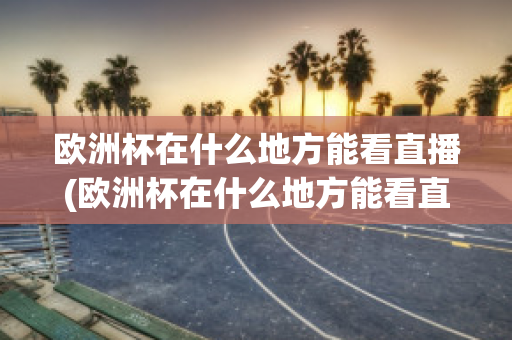 欧洲杯在什么地方能看直播(欧洲杯在什么地方能看直播回放)