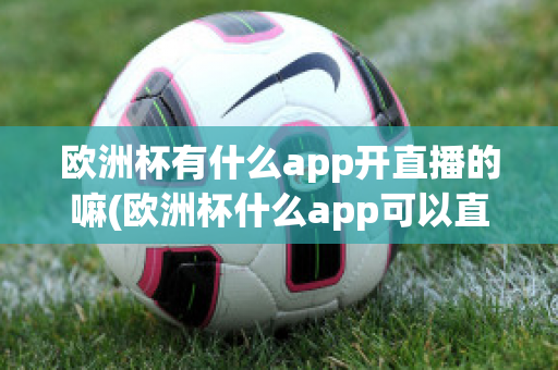 欧洲杯有什么app开直播的嘛(欧洲杯什么app可以直播)