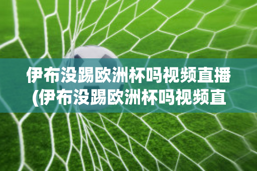 伊布没踢欧洲杯吗视频直播(伊布没踢欧洲杯吗视频直播在线观看)