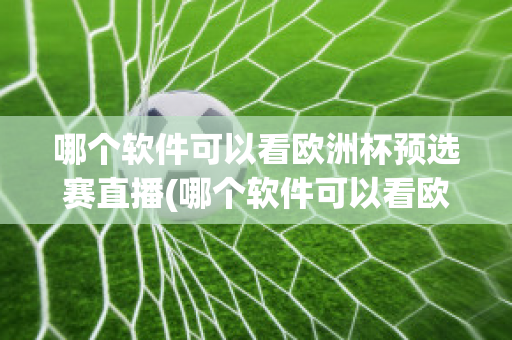 哪个软件可以看欧洲杯预选赛直播(哪个软件可以看欧洲杯预选赛直播视频)