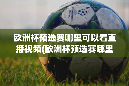 欧洲杯预选赛哪里可以看直播视频(欧洲杯预选赛哪里可以看直播视频啊)