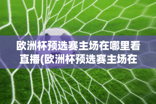 欧洲杯预选赛主场在哪里看直播(欧洲杯预选赛主场在哪里看直播回放)