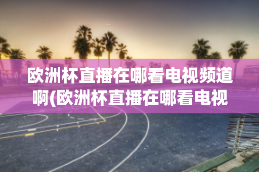 欧洲杯直播在哪看电视频道啊(欧洲杯直播在哪看电视频道啊视频回放)