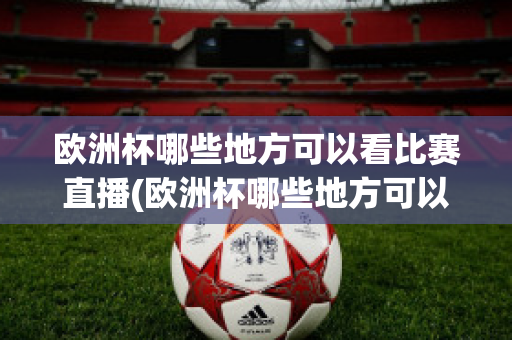 欧洲杯哪些地方可以看比赛直播(欧洲杯哪些地方可以看比赛直播回放)