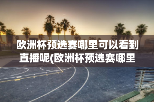 欧洲杯预选赛哪里可以看到直播呢(欧洲杯预选赛哪里可以看到直播呢英文)