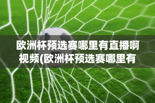 欧洲杯预选赛哪里有直播啊视频(欧洲杯预选赛哪里有直播啊视频播放)