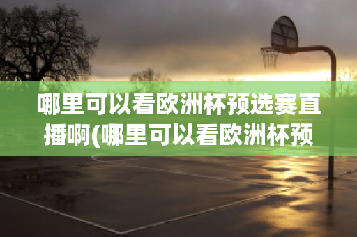 哪里可以看欧洲杯预选赛直播啊(哪里可以看欧洲杯预选赛直播啊)