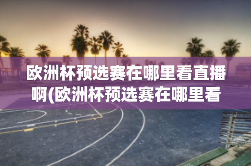 欧洲杯预选赛在哪里看直播啊(欧洲杯预选赛在哪里看直播啊最新)