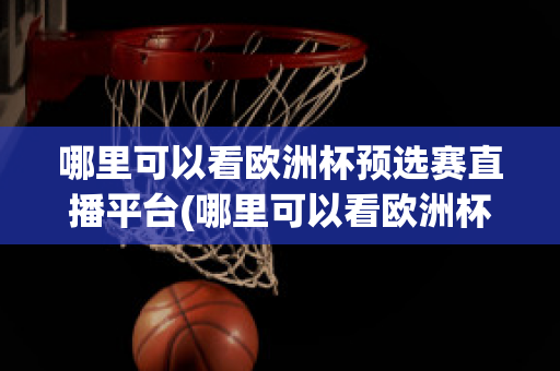 哪里可以看欧洲杯预选赛直播平台(哪里可以看欧洲杯预选赛直播平台的)