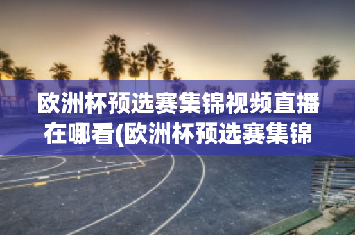 欧洲杯预选赛集锦视频直播在哪看(欧洲杯预选赛集锦视频直播在哪看回放)