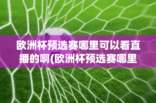 欧洲杯预选赛哪里可以看直播的啊(欧洲杯预选赛哪里可以看直播的啊英文)