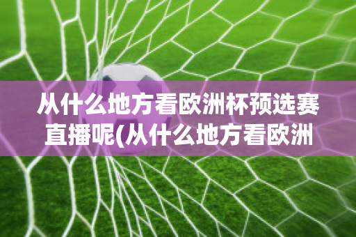 从什么地方看欧洲杯预选赛直播呢(从什么地方看欧洲杯预选赛直播呢)