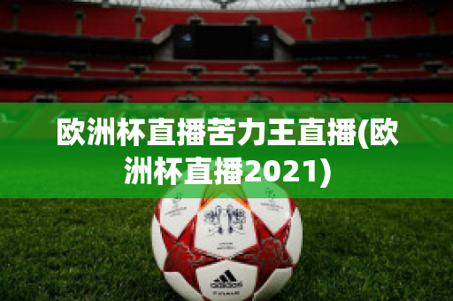 欧洲杯直播苦力王直播(欧洲杯直播2021)