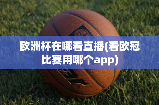 欧洲杯在哪看直播(看欧冠比赛用哪个app)