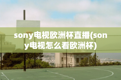 sony电视欧洲杯直播(sony电视怎么看欧洲杯)