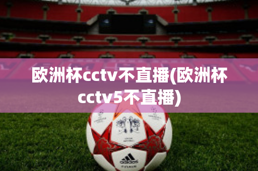 欧洲杯cctv不直播(欧洲杯cctv5不直播)