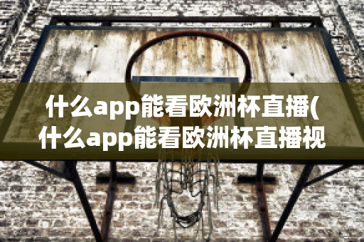 什么app能看欧洲杯直播(什么app能看欧洲杯直播视频)