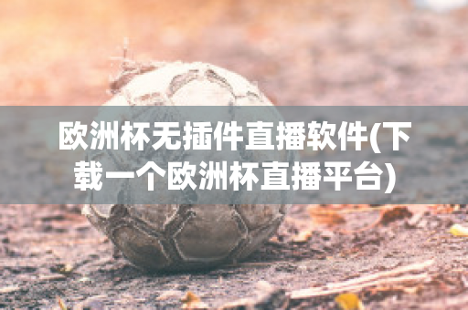 欧洲杯无插件直播软件(下载一个欧洲杯直播平台)