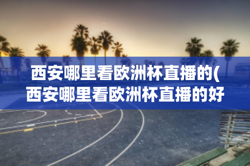 西安哪里看欧洲杯直播的(西安哪里看欧洲杯直播的好地方)