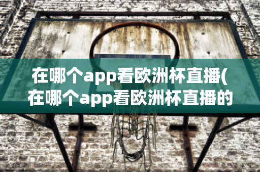 在哪个app看欧洲杯直播(在哪个app看欧洲杯直播的)