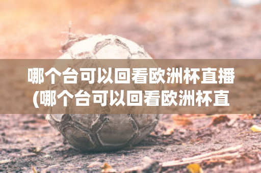 哪个台可以回看欧洲杯直播(哪个台可以回看欧洲杯直播回放)