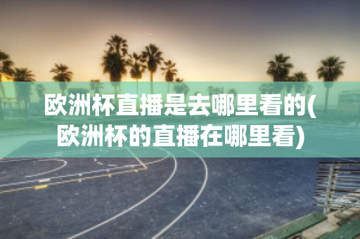 欧洲杯直播是去哪里看的(欧洲杯的直播在哪里看)