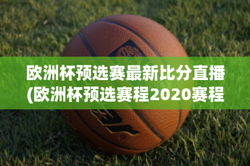 欧洲杯预选赛最新比分直播(欧洲杯预选赛程2020赛程表)