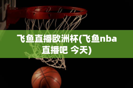 飞鱼直播欧洲杯(飞鱼nba直播吧 今天)