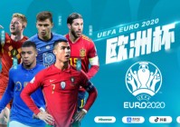 欧洲杯直播新闻:欧洲杯直播新闻在哪看