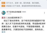 欧洲杯直播频道破解版免费:欧洲杯直播频道破解版免费下载