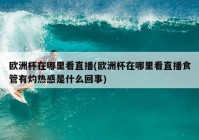 欧洲杯直播室在线观看:欧洲杯直播室在线观看