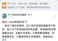 用电视看欧洲杯决赛直播:用电视看欧洲杯决赛直播的软件