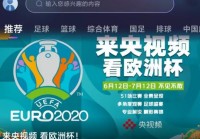 在线聊欧洲杯直播:在线直播欧洲杯2021