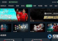 怎样同时看两场欧洲杯直播:怎么一起看欧洲杯