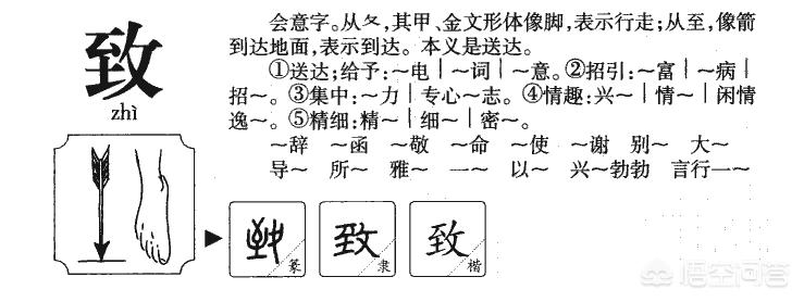 欧洲杯网络直播权限在哪:欧洲杯网络直播权限在哪设置