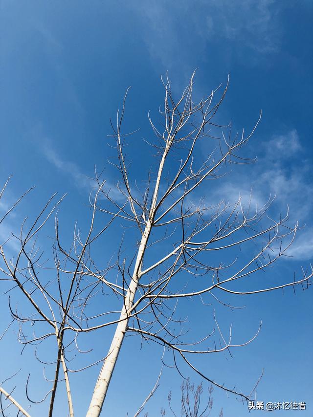 欧洲杯什么直播比较快进:欧洲杯什么直播比较快进