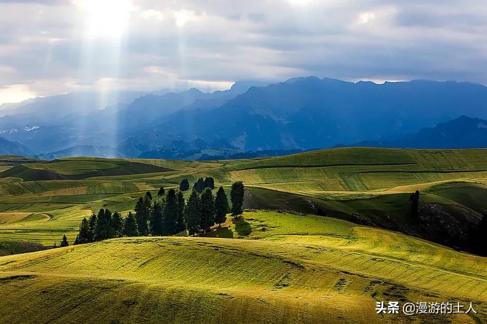 临桂哪里可以看欧洲杯直播:临桂哪里可以看欧洲杯直播的