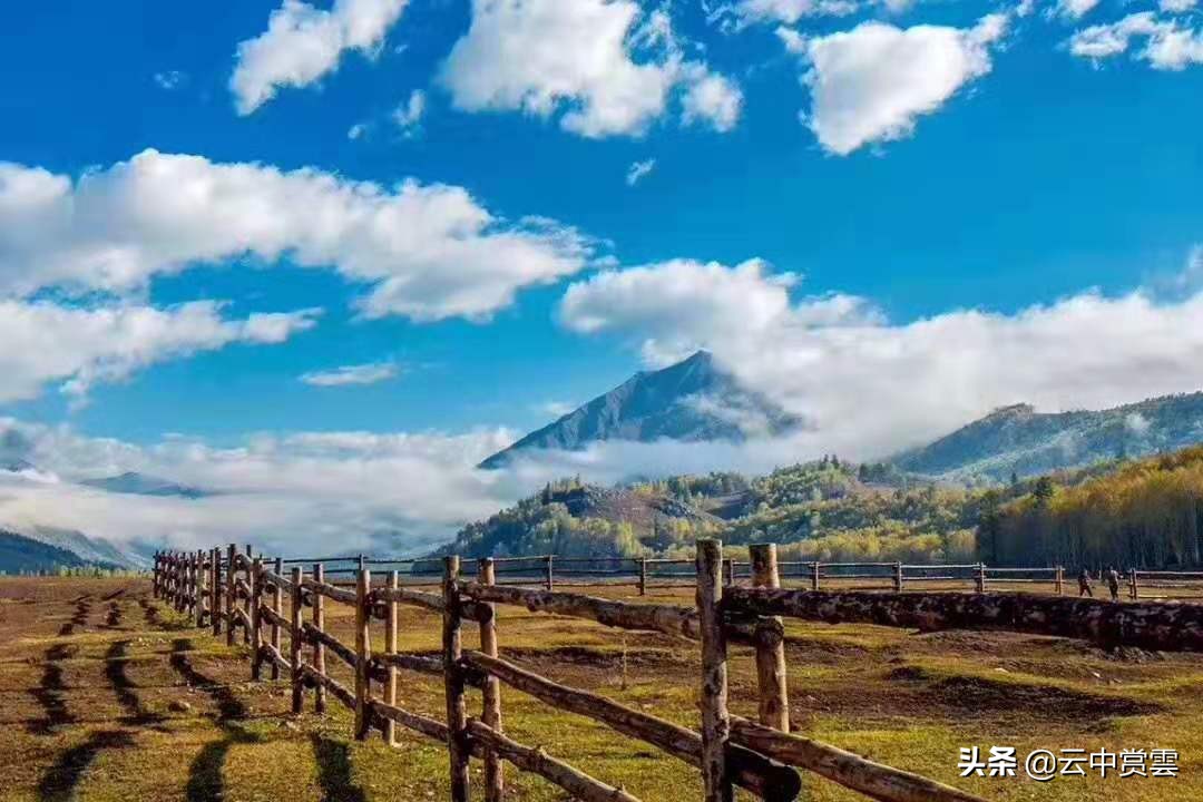 大理哪里看欧洲杯直播比赛:大理哪里看欧洲杯直播比赛最好