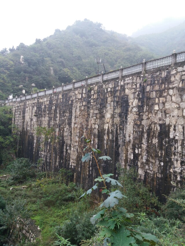 当贝市场怎么看欧洲杯直播:当贝市场如何看直播