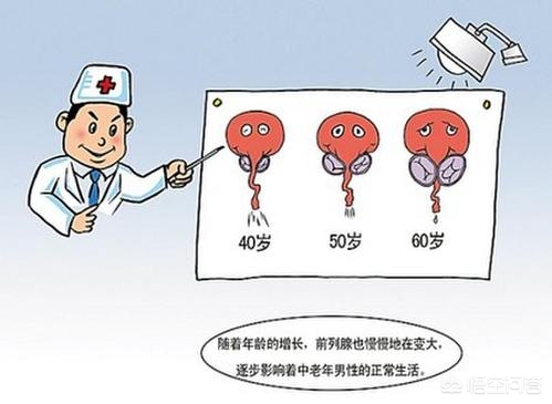 欧洲杯直播实况足球吧:欧洲杯直播实况足球吧百度贴吧