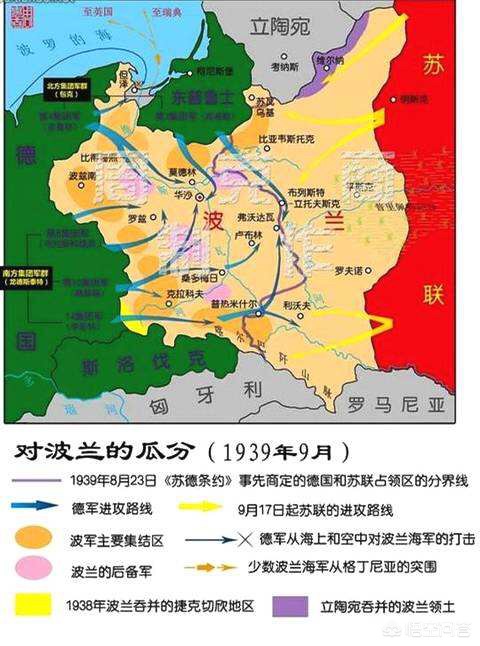 欧洲杯现场直播德国波兰:欧洲杯现场直播德国波兰比赛