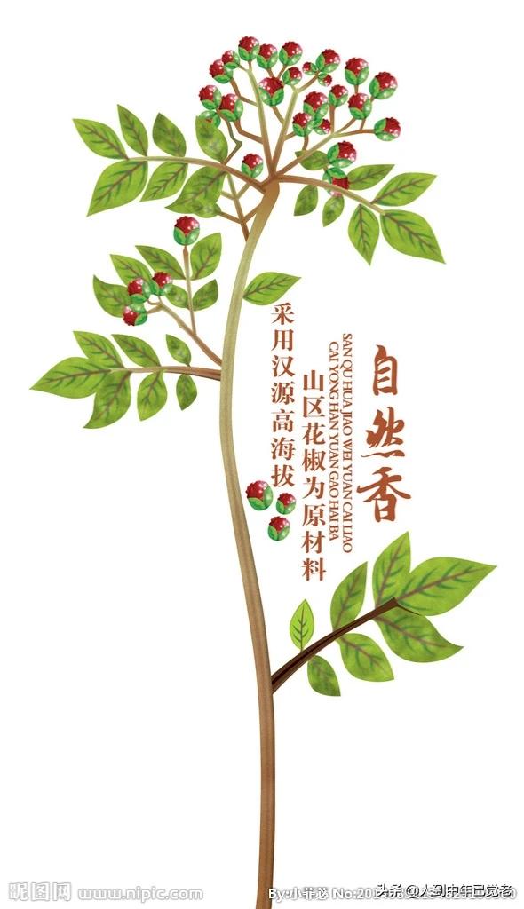 欧洲杯直播花椒:欧洲杯直播hth6点cn