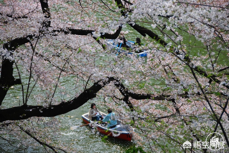 白山市哪能看欧洲杯直播:白山足球